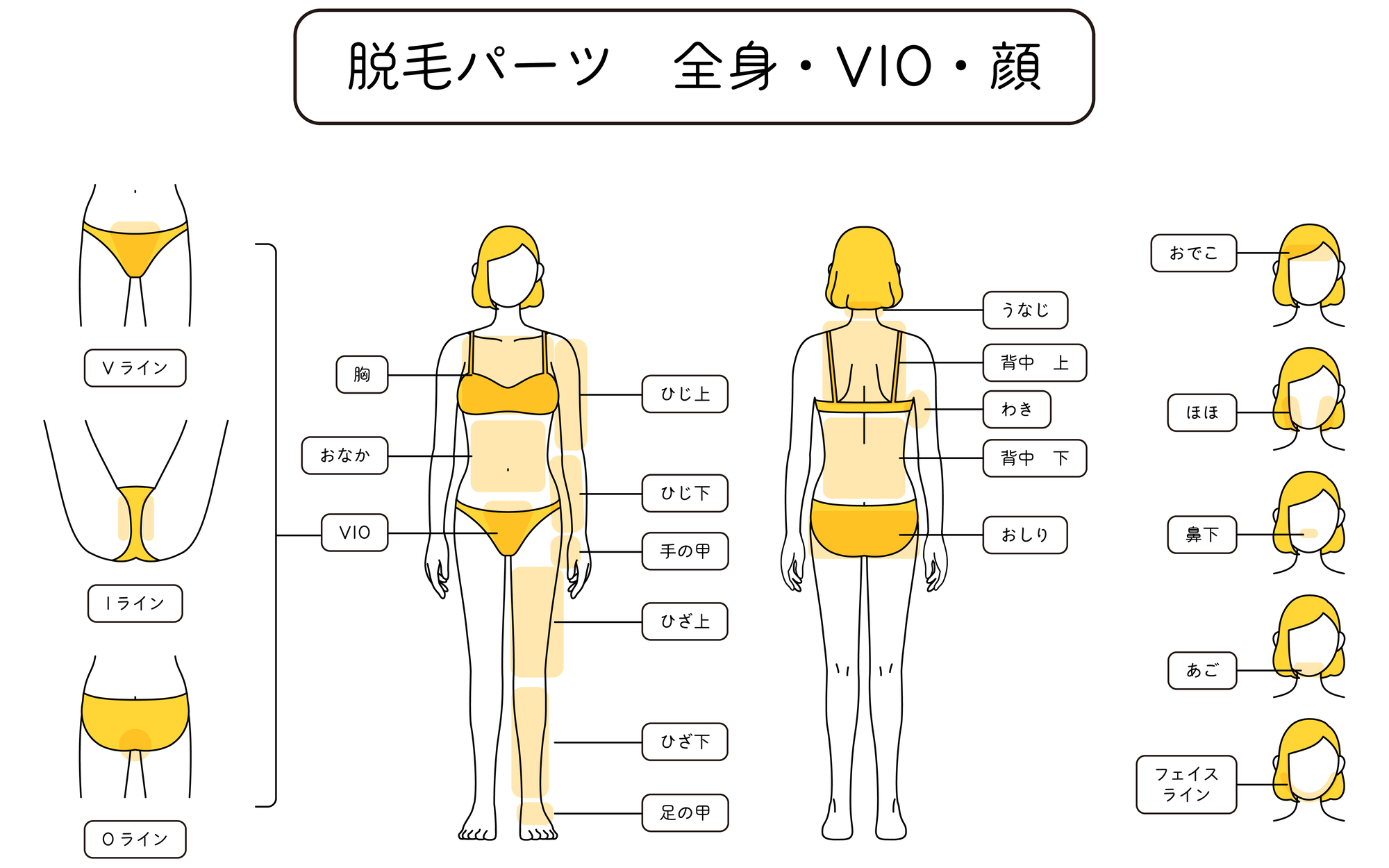 全身脱毛の恥ずかしさを軽減したい！　VIOはどうする？　対処法を解説　- 医療脱毛ならカノアクリニック